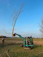 knotwilgen snoeien, Tuin en Terras, Ophalen