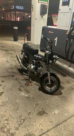 Honda Dax 50cc B klasse, Overige modellen, Ophalen of Verzenden, 50 cc, Klasse B (45 km/u)