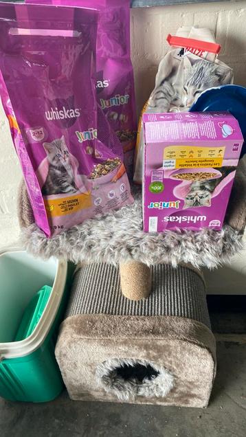 kitten voeding en paal met speeltjes, Dieren en Toebehoren, Ophalen