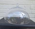 glazen kaasstolp, Ophalen of Verzenden, Zo goed als nieuw, Glas, Overige typen