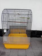 Cage à oiseaux avec incubateur en bois, Enlèvement, Utilisé, Cage à oiseaux