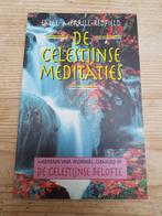 Salle Merrill-Redfield - De Celestijnse meditaties, Boeken, Ophalen of Verzenden, Zo goed als nieuw, Salle Merrill-Redfield
