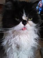 Recherche appartement, Immo, Appartements & Studios à louer