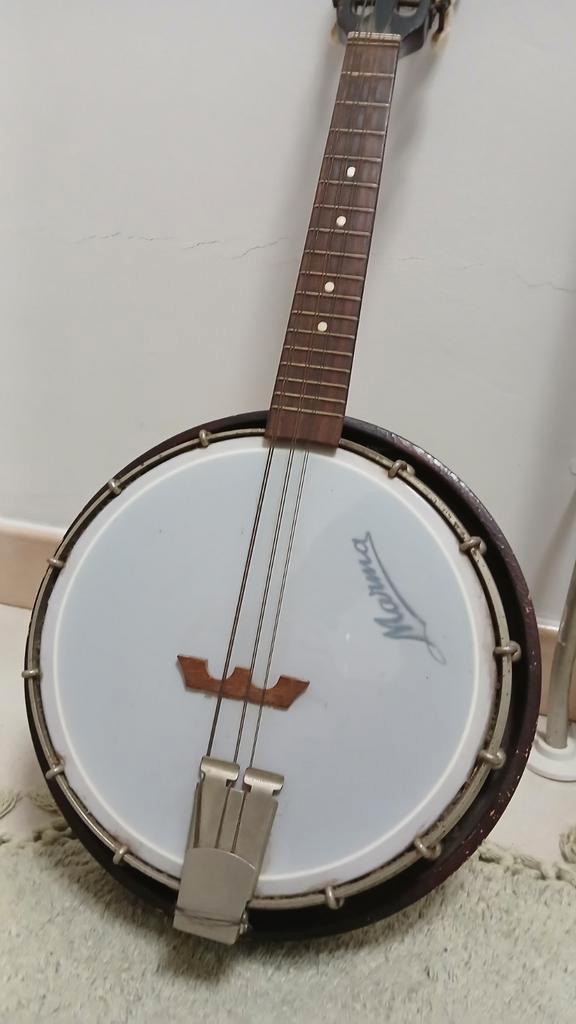 Mandoline met 8 snaren, Muziek en Instrumenten, Snaarinstrumenten | Banjo's, Ophalen