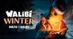 TICKET WALIBI WINTER, Tickets en Kaartjes, Twee personen, Meerdaags