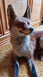 taxidermie opgezette red fox liggende vos, Enlèvement, Neuf