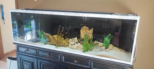 2 meter aquarium met kast, Dieren en Toebehoren, Vissen | Aquaria en Toebehoren, Zo goed als nieuw, Ophalen of Verzenden