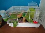 Hamsterkooitje 39 x 25 x 22 cm, Mannelijk, Hamster
