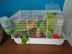 Hamsterkooitje 39 x 25 x 22 cm, Dieren en Toebehoren, Knaagdieren, Mannelijk, Hamster