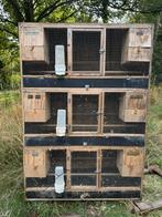 Kweekkot, Dieren en Toebehoren, Ophalen, Gebruikt, Hout, Broedkooi of Kweekkooi