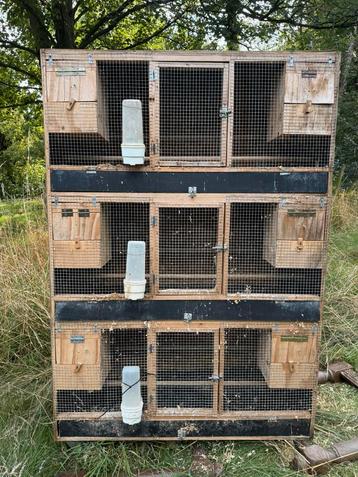 Kweekkot, Enlèvement, Utilisé, Bois, Cage d'élevage