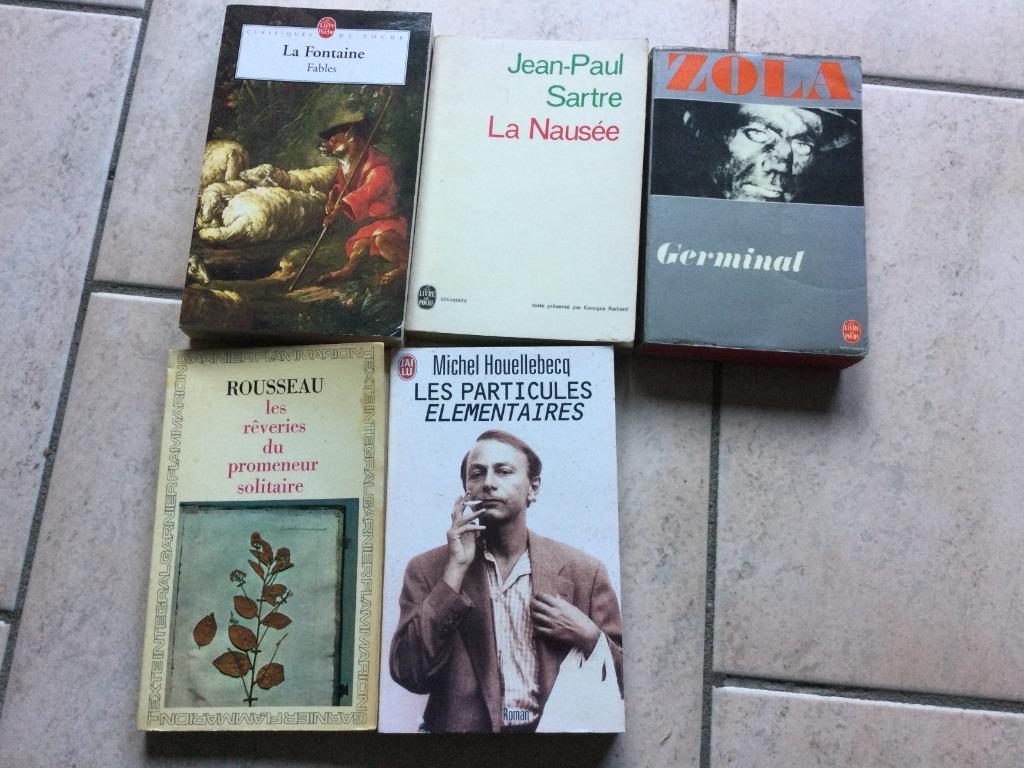 ROUSSEAU/ZOLA/SAT/LA FONTAINE/HOUVELLEBECQ, Antiquités & Art, Antiquités | Livres & Manuscrits, Enlèvement ou Envoi