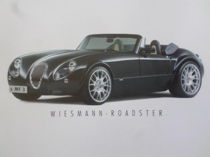 Wiesmann Roadster Brochure, Boeken, Auto's | Folders en Tijdschriften, Ophalen of Verzenden