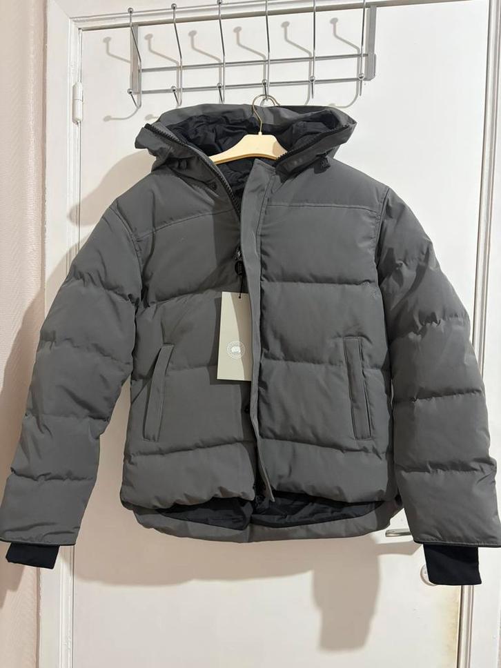 Canada Goose Macmillan grijs - M (Nieuw!), Kleding | Heren, Jassen | Winter, Nieuw, Maat 48/50 (M), Grijs, Ophalen of Verzenden