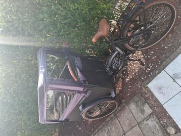 Elektrische bakfiets
