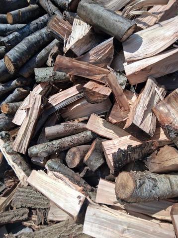 GOEDKOOP BRANDHOUT (EIK, KASTANJE, VOGELKERS, BERK), Enlèvement, Troncs d'arbres