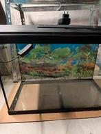 Aquarium juwel, Dieren en Toebehoren, Ophalen