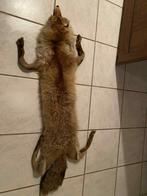 Vossen bontkraag (era 1960), Kleding | Dames, Overige Dameskleding, Ophalen