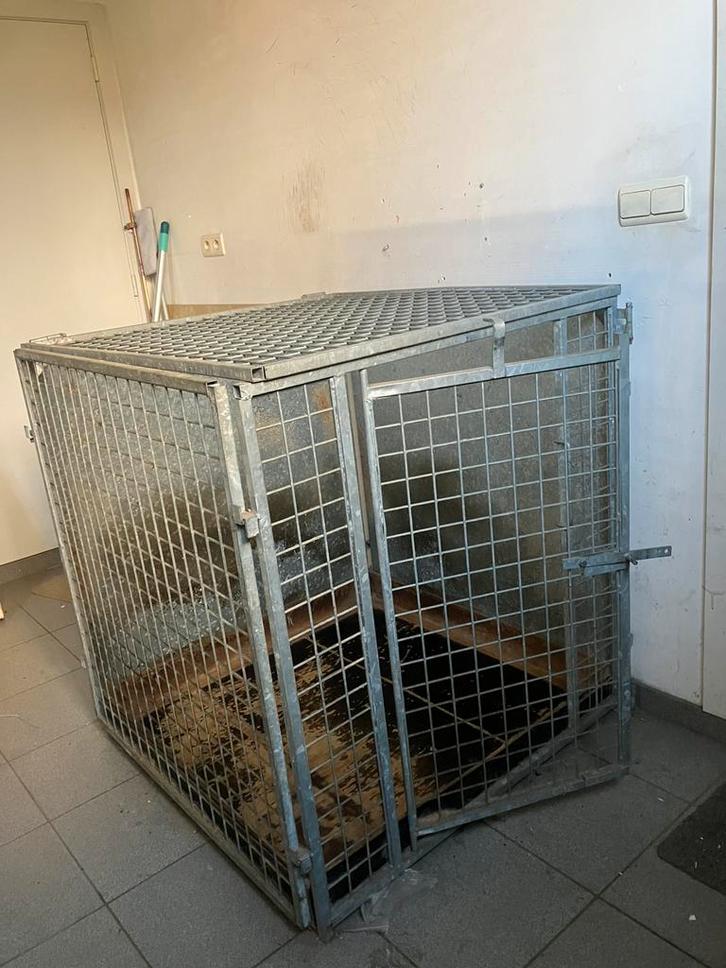 Hondenbench, Dieren en Toebehoren, Hondenhokken, Gebruikt, Hondenhok, 100 cm of meer, 75 tot 110 cm, Ophalen