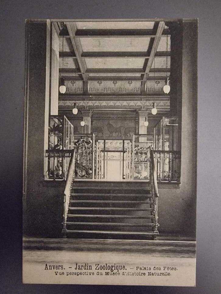 Carte postale Anvers - Jardin zoologique - Vers 1908, Verzamelen, Postkaarten | België, Gelopen, Antwerpen, Voor 1920, Ophalen of Verzenden
