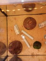 Homards rouges, Homard, Crabe ou Crevette, Poisson d'eau douce