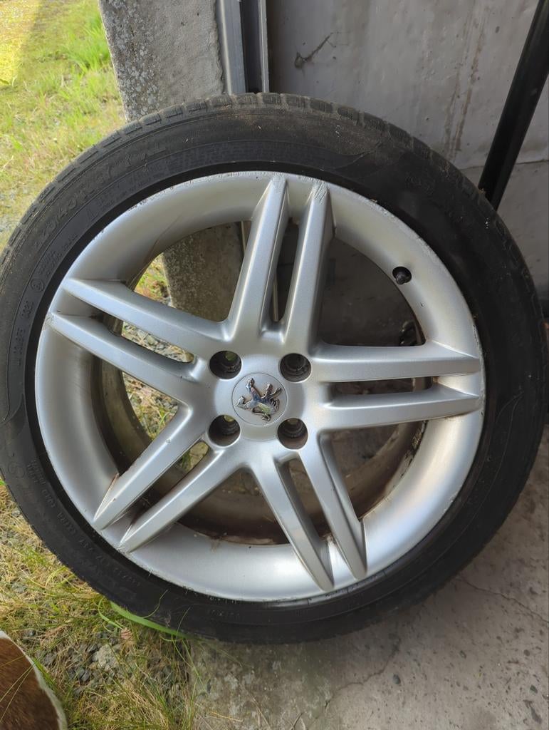 Peugeot velgen, Ophalen, Band(en)