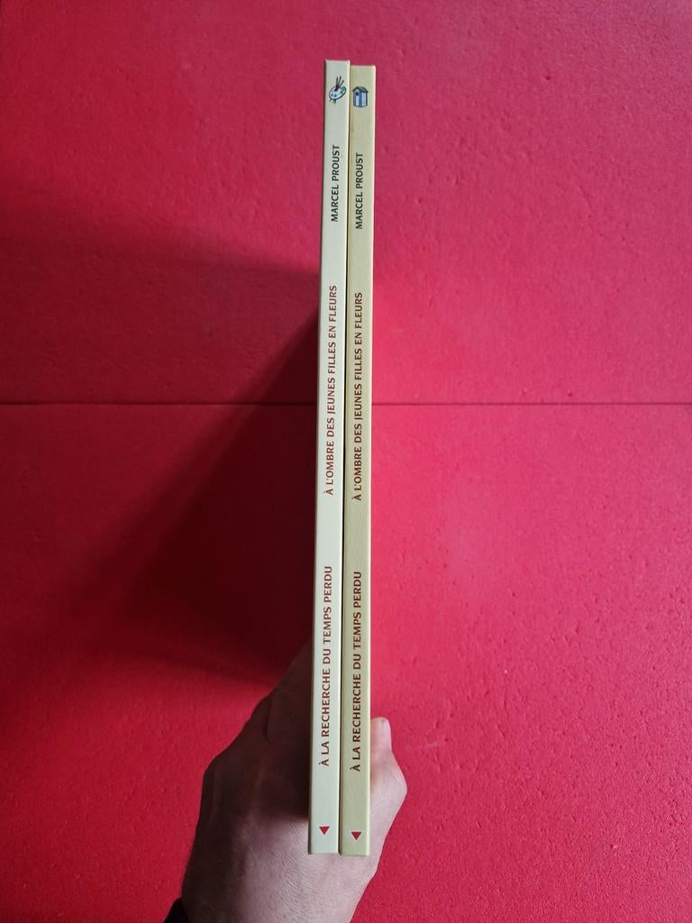 Lot de 2 bd à la recherche du temps perdu 2 et 3, Boeken, Ophalen of Verzenden