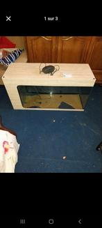 Aquarium, Enlèvement