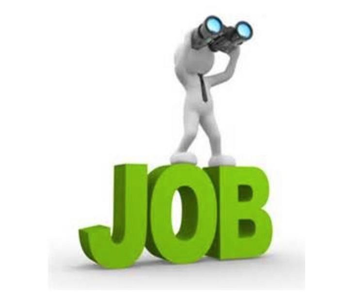 Recherche second emploi / flexijob, Offres d'emploi, Emplois | Travail à domicile