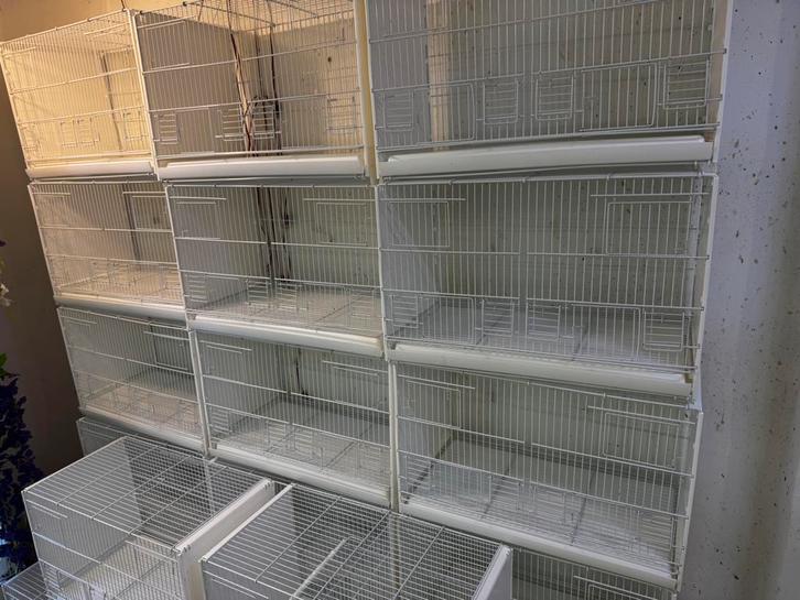 Broedkooien, Animaux & Accessoires, Oiseaux | Cages & Volières, Comme neuf, Autres matériaux, Enlèvement