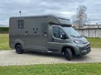 Opel Movano Combi Ka L1H1 3,5t Selection, Neuf, Achat, Euro 6, 3 places