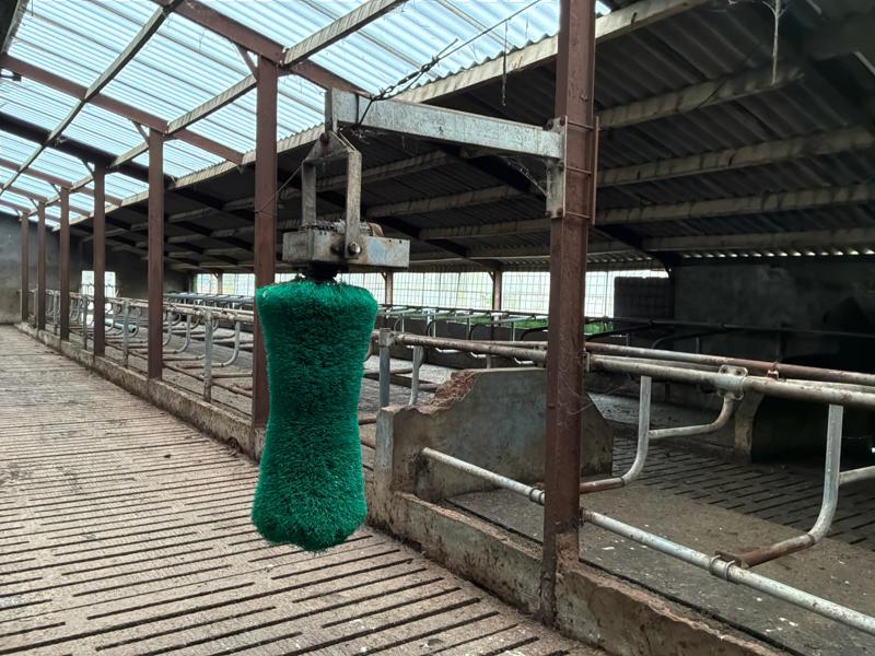 Brosse à vache, Animaux & Accessoires, Box & Pâturages