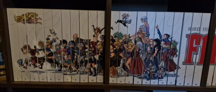 Collection Fairy Tail, Collections, Collections Autre, Enlèvement