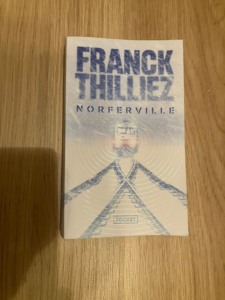 Poche Frank Thilliez : Norferville - Excellent état, Livres, Enlèvement, Comme neuf