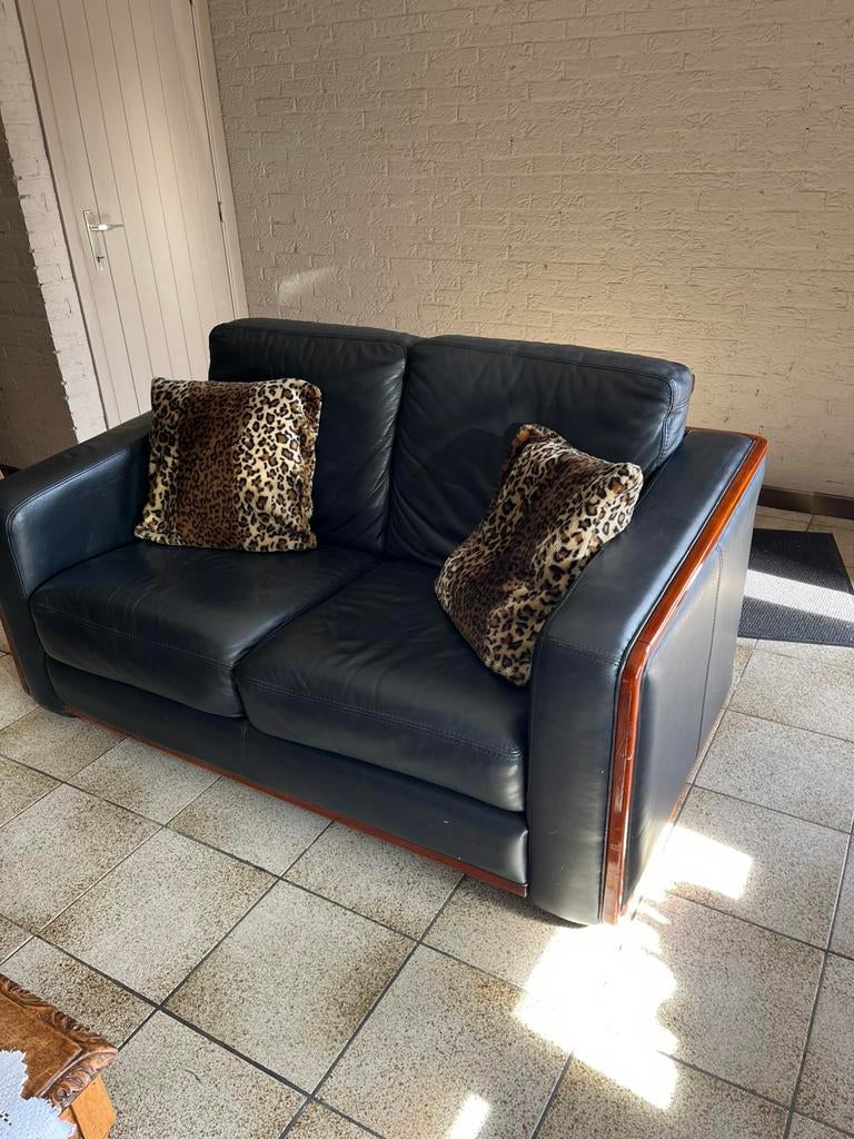 Antieke prachtige lederen 2 zit, Ophalen, Zo goed als nieuw, Hout