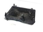 RG250 1983 - 1987 Suzuki Radiator D1-53636, Motos