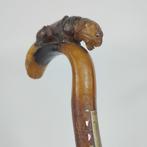 Grote „" Fauve "” rietknop uit de 19e eeuw met gebeeldhouwde, Diversen, Wandelstokken, Ophalen of Verzenden, Verstelbaar, Gebruikt
