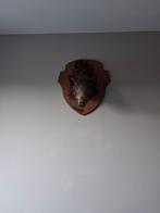 Opgezet hoofd, Verzamelen, Dierenverzamelingen, Ophalen of Verzenden