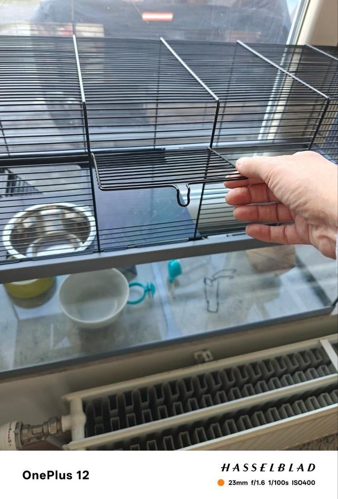 Voor hamster en gerbil, Animaux & Accessoires, Rongeurs, Avril, Hamster