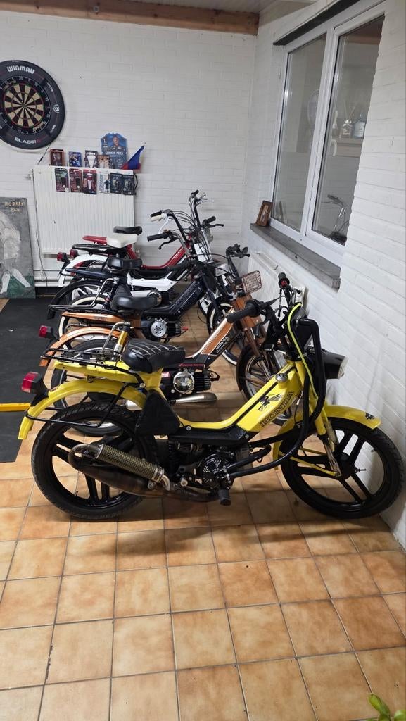 4 caminos te koop 1 caminofox (gele), Particulier