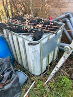 IBC container, vat 1000 liter Gratis, Ophalen, Gebruikt