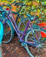 Fiets voor meisjes Oxford., Enlèvement