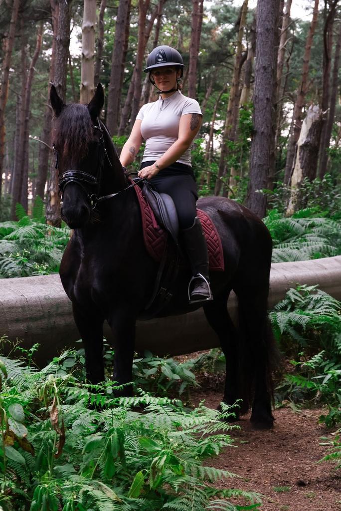 Friese stamboek merrie, Dieren en Toebehoren, Paarden, Merrie, Zadelmak, 160 tot 165 cm, 3 tot 6 jaar, Dressuurpaard, Met stamboom
