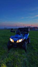 Sym quad 250cc, Motos, 250 cm³