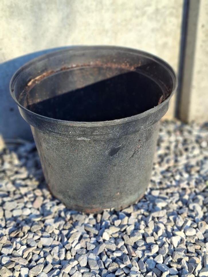 Plantcontainer, Tuin en Terras, Bloempotten, Gebruikt, Kunststof, Tuin, Minder dan 40 cm, Minder dan 25 cm, Rond, Ophalen