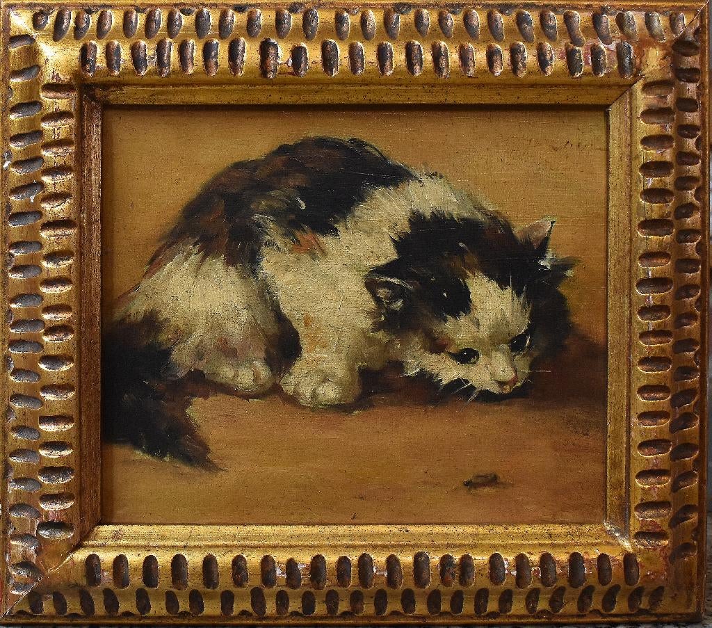 Jeune chaton caché sur un insecte (XX), Antiquités & Art, Art | Peinture | Classique, Enlèvement ou Envoi