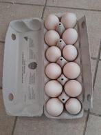 Verse eendeneieren, Enlèvement