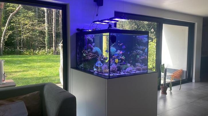 Aquarium, Animaux & Accessoires, Poissons | Aquariums & Accessoires, Utilisé, Aquarium vide, Enlèvement