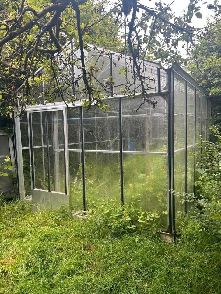 Serre 6mx4m, Jardin & Terrasse, Serres, Utilisé, Serre, Aluminium, Verre, Enlèvement
