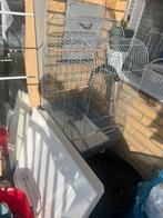 Parkieten kooi, Enlèvement, Comme neuf